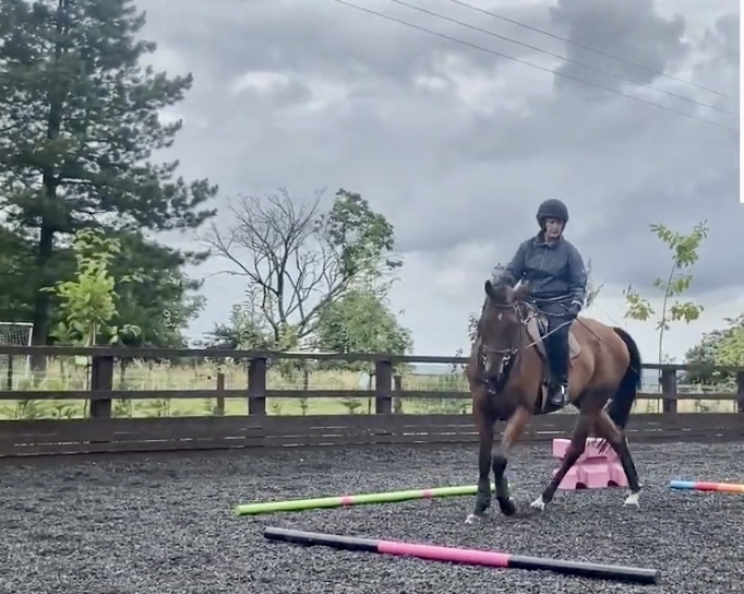 Supple horse - poles in walk