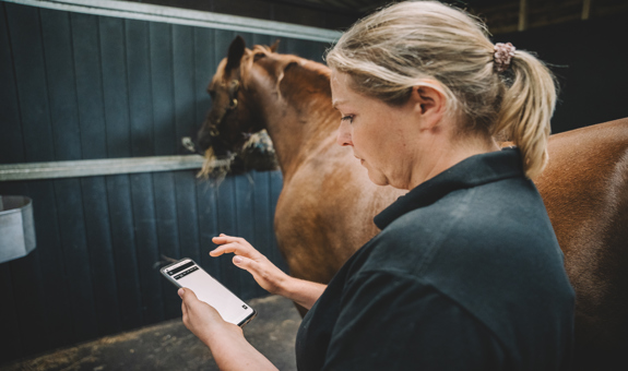 How to organise client records as an equine or canine therapist (without spreadsheets)