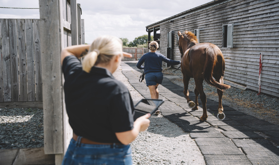 How Our Student and Gaduate Programme Can Help Those Starting Out