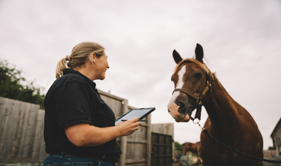 The hidden weight of running an animal therapy business (and why one system changes more than you think)
