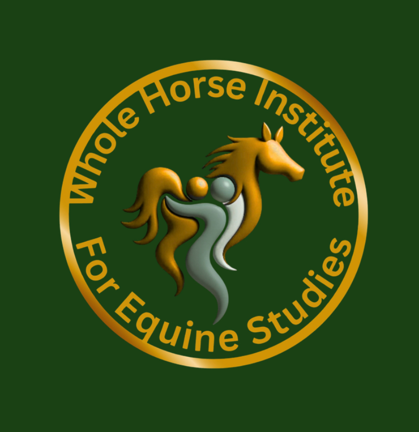 Student & Graduate Programme
