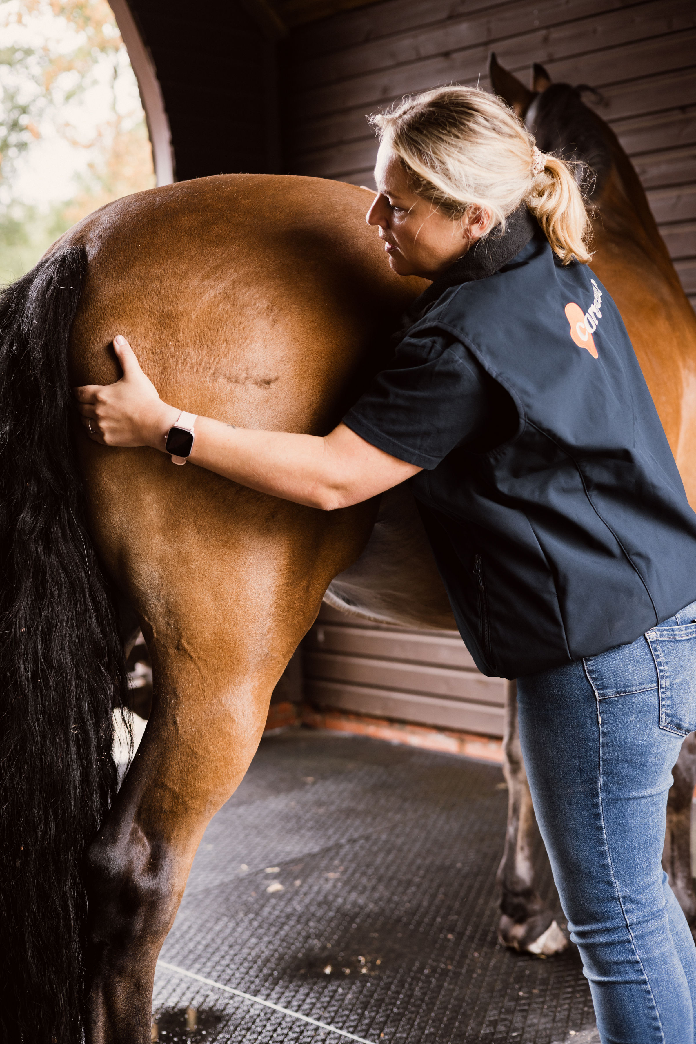 For Part-Time Animal Therapists