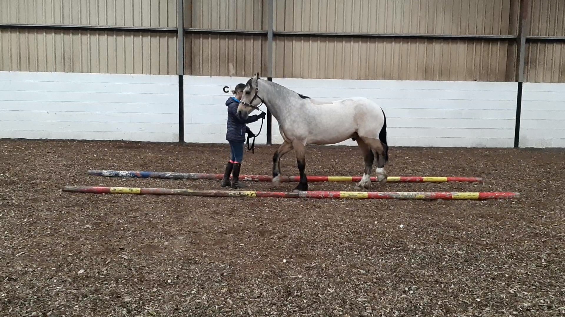 Back Up Through Tramlines